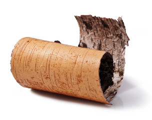 birch bark isolated on a white background.