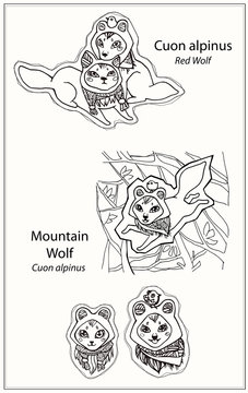 Red Wolf Line Drawing/Set of linear image of a cartoon red wolf, cute drawn