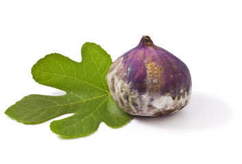 Moldy rotten Fig fruit isolated on white background