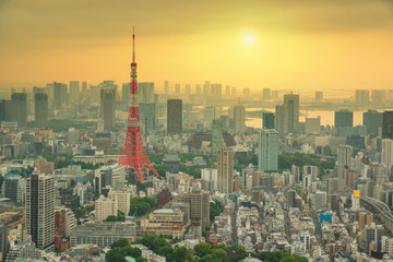 Fototapeta na wymiar Aerial view of tokyo tower in Tokyo city, Japan
