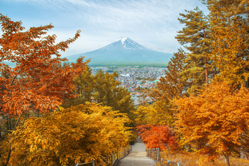Fototapeta premium Mt. Fuji with fall colors in Japan..