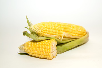 Several ears of corn on over white