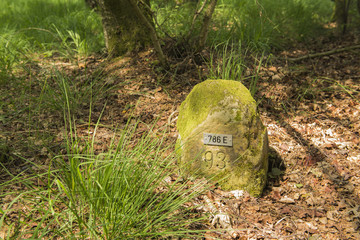 Historic boundary stone Germany Netherlands .