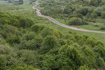 path among the trees