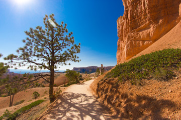 Chemin de randonnée à Bryce Canyon
