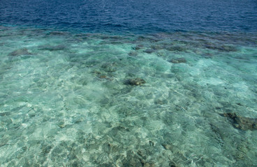 Fototapeta na wymiar Transparent water of the Indian ocean on a clear day