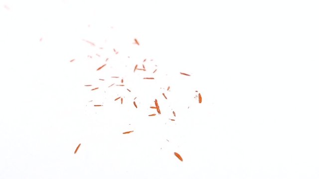 Crayon shavings on white, close up