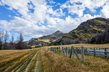 Abandoned rural Farm in New Zealand