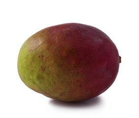 whole mango fruits on white background 