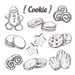 Cookie and sweet pastry hand sketched illustration vector on dark background