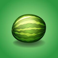 Fresh watermelon on green background