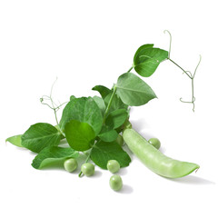 fresh pea with green leaf isolated on white background 