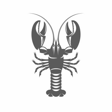 Lobster black and white vector illustration / Vector illustration, Lobster, Seafood, Claw, Cooked, Retro Styled, Food