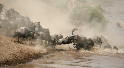 crossing river Mara