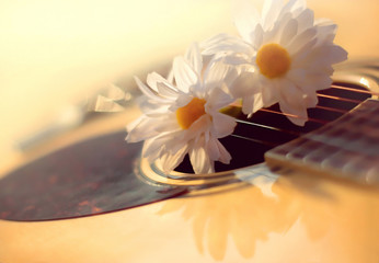 Defocused blurry sunny photo of acoustic guitar and white flower