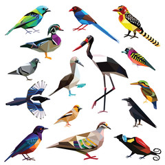 Birds-set colorful birds low poly design isolated on white background.
Broadbill,Booby,Bronzewing,Raven,Pigeon,Tanager,Finch,Starling,Magpie,Barbet,Stork,Kingfisher,Bird of paradise,Duck.