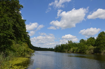 Теплое лето