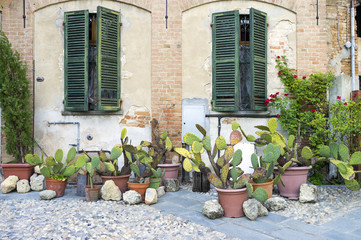 Fototapeta na wymiar Lu Monferrato: old house facade. Color image