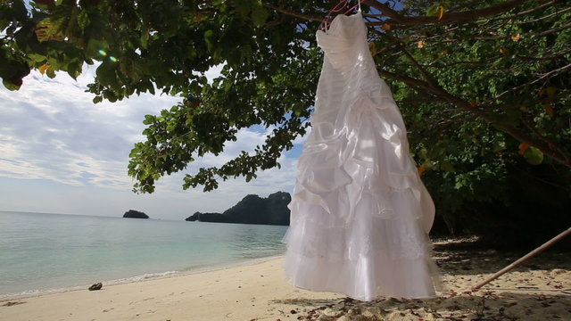 white wedding dress hangs on green tree