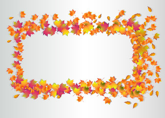 Vector frame from autumn leaves