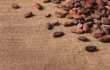  Raw cocoa beans on  sacking close-up