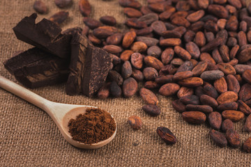 Raw cocoa beans, chocolate, wooden spoon with cocoa powder on sa