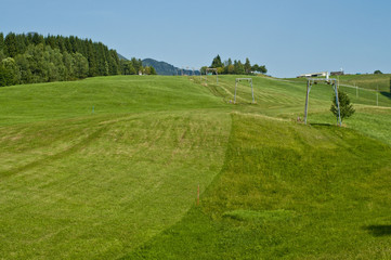 Sci d'erba, impianto sciistico