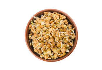 Lentil sprouts in a clay bowl isolated on a white top view, clos