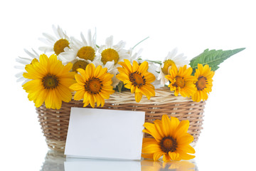 bouquet of yellow and white daisies