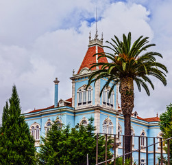 Fototapety na wymiar - Fototapeta24.pl