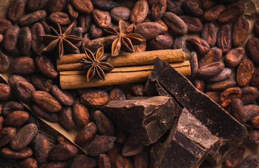 Raw cocoa beans, delicious black chocolate, cinnamon sticks, sta
