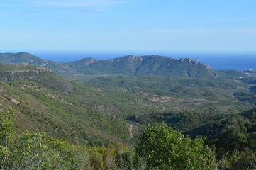 Fototapeta premium Esterel & Méditerranée 