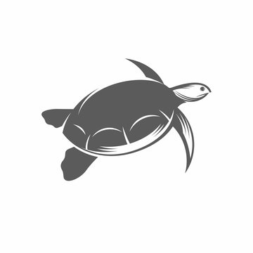 Sea turtle in the water vector illustration / Vector illustration, Turtle, Tortoise, Reptile, Tattoo, Underwater, Vintage, Aquatic
