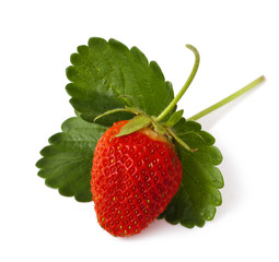 Strawberries with leaves. Isolated on a white background. 