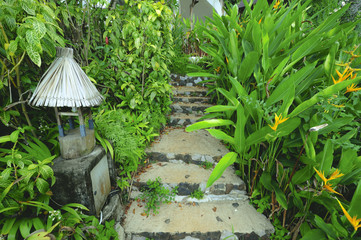 Alley in tropical garden, Koh Samui, Thailand