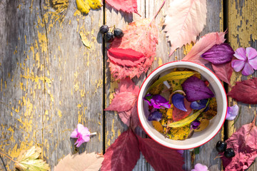 Leaves , flowers and berries  with ceramic bowl on the old wooden table
