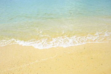 tropical beach