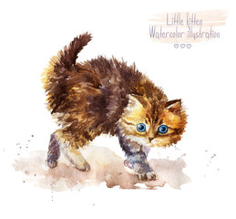 Obraz premium Little fluffy kitten Spotted cat. Watercolor illustration of frightened kitten.