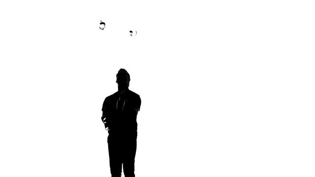 silhouette bartender man on a white background