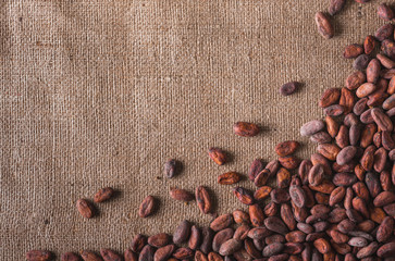 Raw cocoa beans