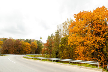 A colourful curving autumn road