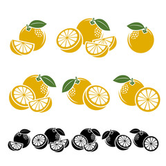 Grapefruit set. Vector