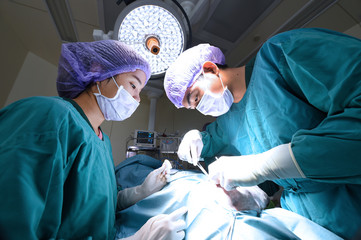 two veterinarian surgeons in operating room 