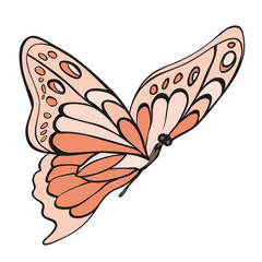 Pink butterfly isolated on white.