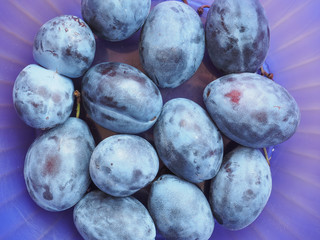Prune fruits