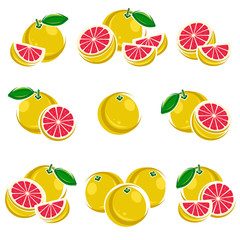 Grapefruit set. Vector