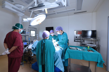 group of veterinarian surgery in operation room 