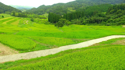 Obraz premium 空撮 千葉 大山千枚田