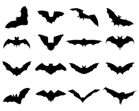 Black silhouettes of different bats, vector