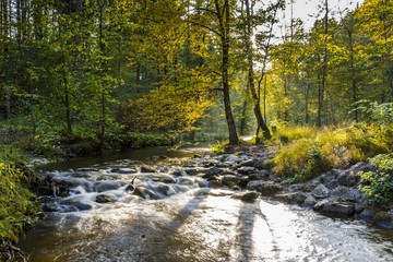 Goldener Herbst in der Maisinger Schlucht am Maisinger Bach